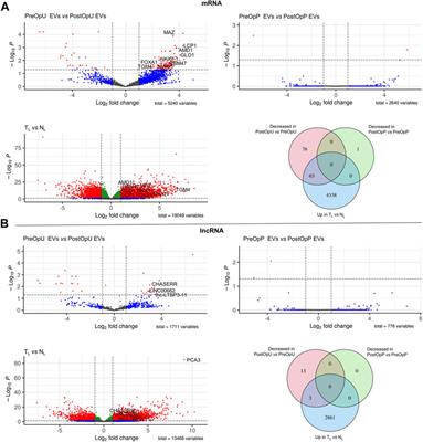 Frontiers | Plasma And Urinary Extracellular Vesicles As A Source Of ...